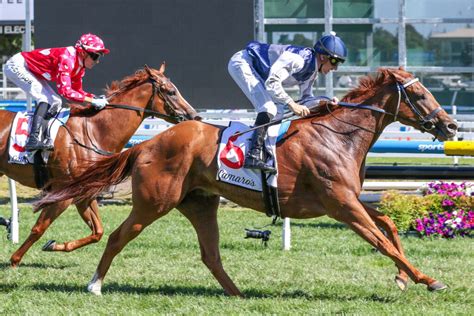 Lightning Stakes 2025 Field, Tips, Odds, Betting, Results.
